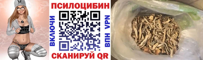 mega как зайти  где можно купить наркотик  Буйнакск  Псилоцибиновые грибы MAGIC MUSHROOMS 