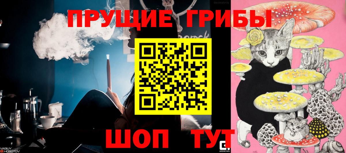 Псилоцибиновые грибы Cubensis Буйнакск