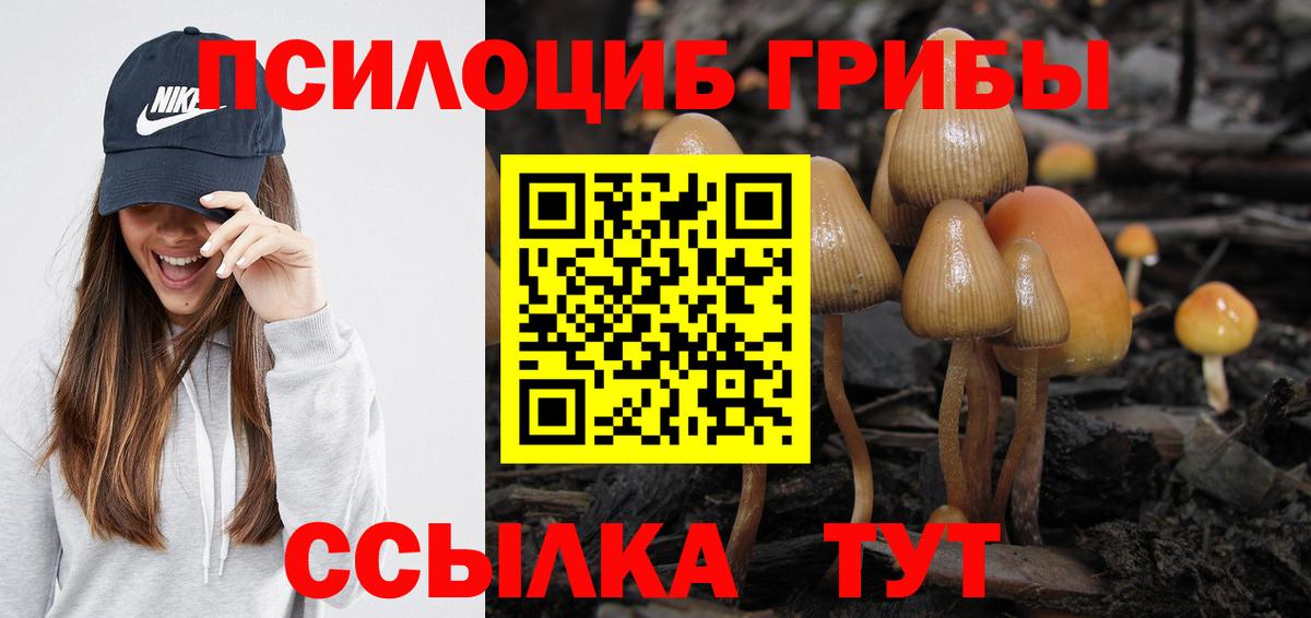 Галлюциногенные грибы мухоморы Буйнакск