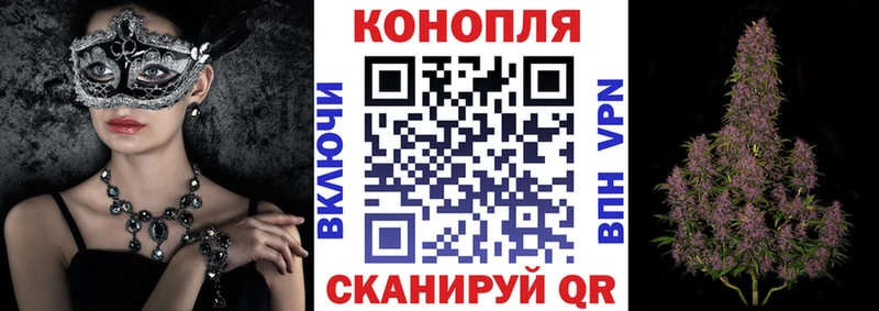 Канабис THC 21%  как найти наркотики  Буйнакск 